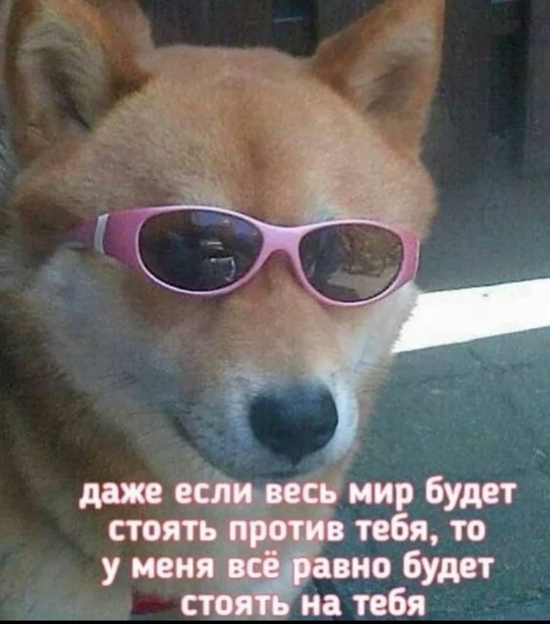 Поднакопилось у меня картинок
Вот вам дроп) | Сетка — социальная сеть от hh.ru