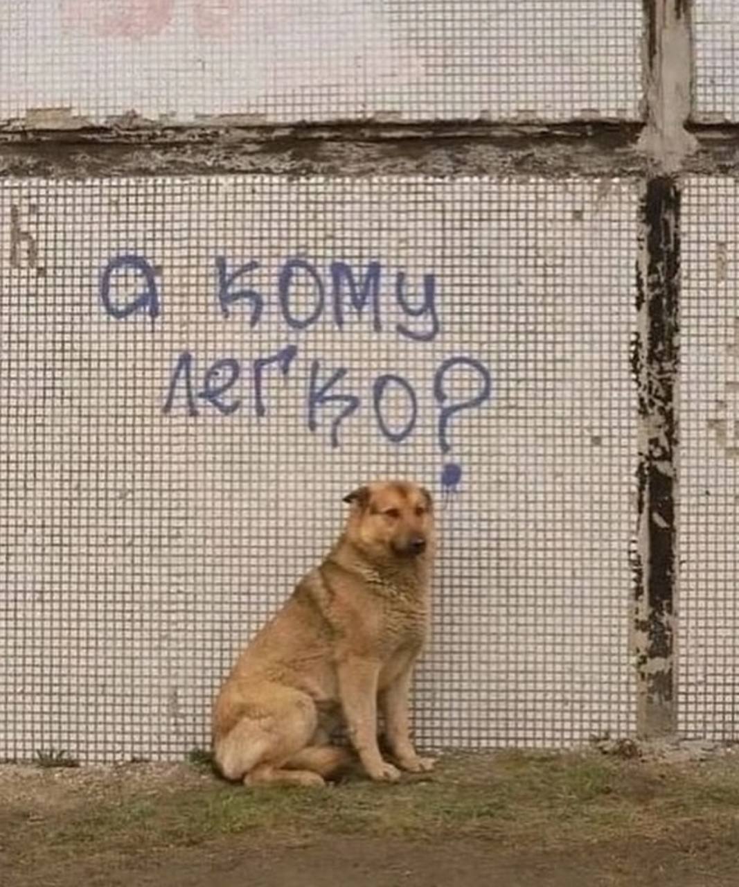 Поднакопилось у меня картинок
Вот вам дроп) | Сетка — социальная сеть от hh.ru