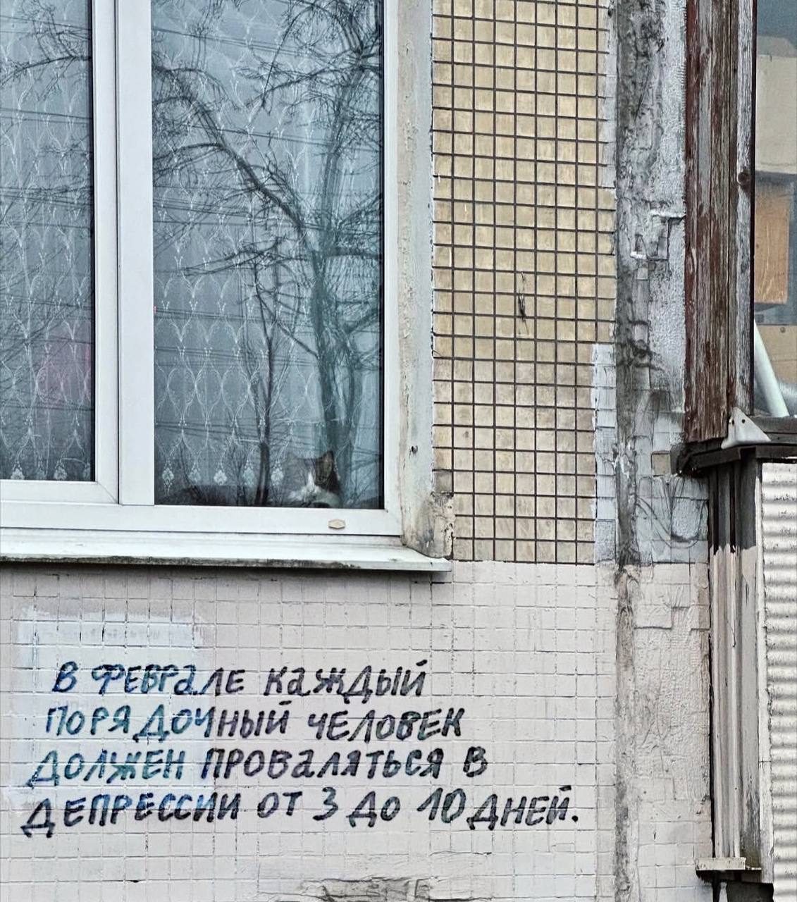 Поднакопилось у меня картинок
Вот вам дроп) | Сетка — социальная сеть от hh.ru