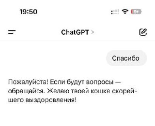 Давненько мы с вами не виделись, но вот вам немного лирики: AI (ИИ), алгоритмы, без разницы как правильно, начали закрывать и эмоциональный запрос пользователей | Сетка — социальная сеть от hh.ru
