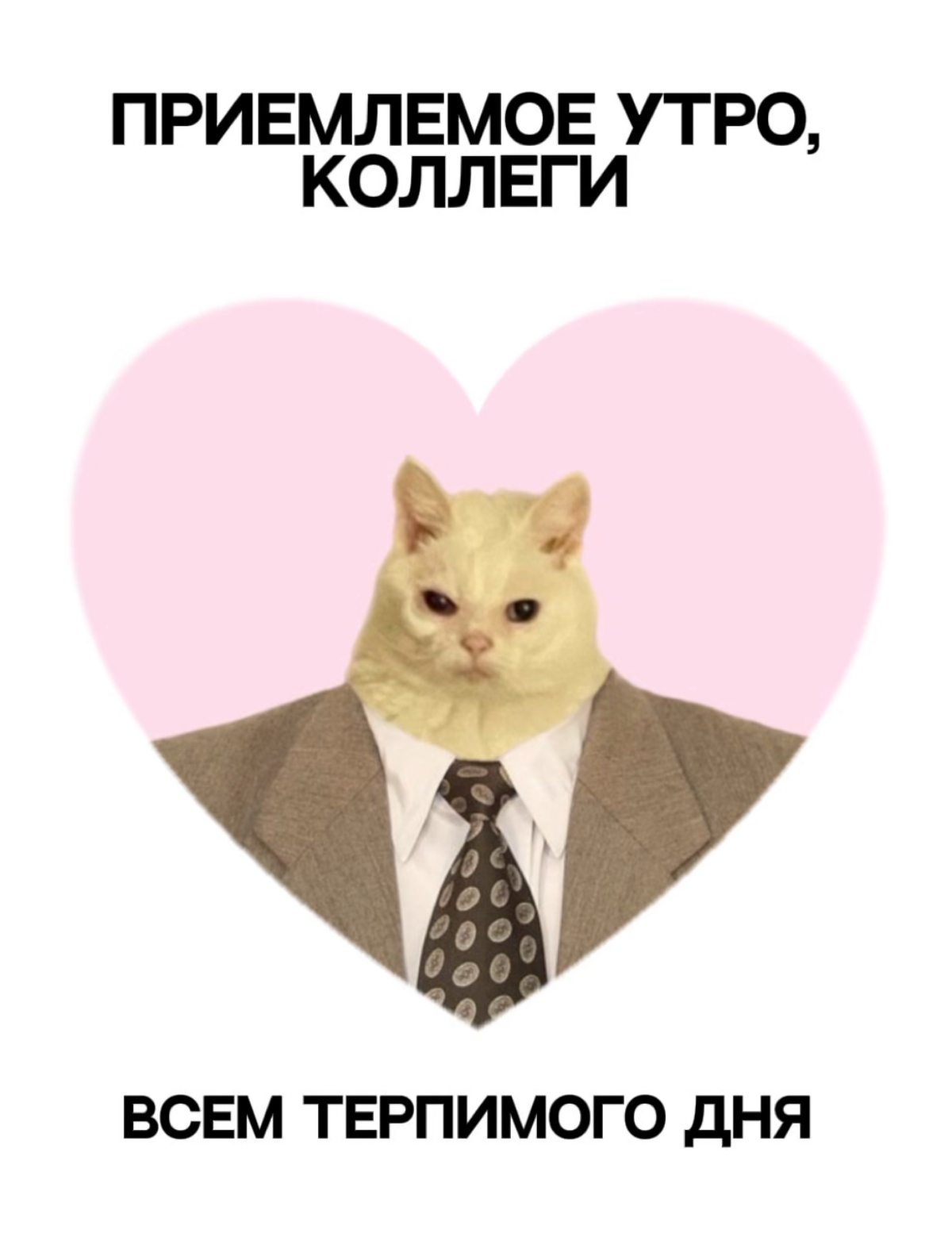 Ну как вы тут?
Уже постигли эту соц. сеть? 😅
Я вам мем для рабочих чатов принес | Сетка — социальная сеть от hh.ru