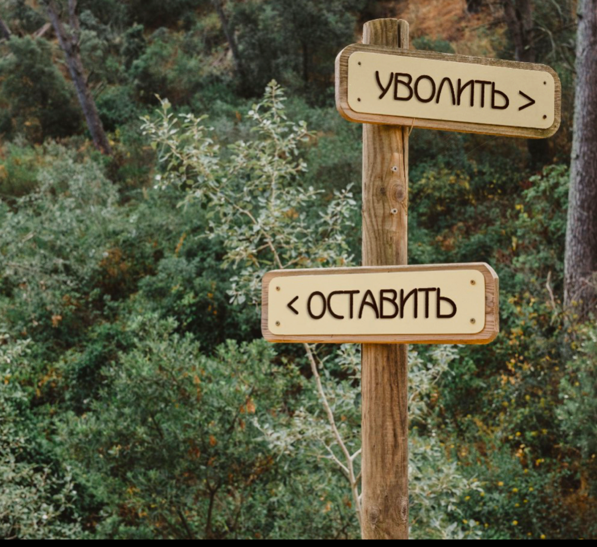 🌪️ Тяжело увольнять людей? Это привычка или навсегда? 🤔
Каждый из нас хоть раз сталкивался с ситуацией, когда приходится ставить точку в рабочих отношениях | Сетка — социальная сеть от hh.ru