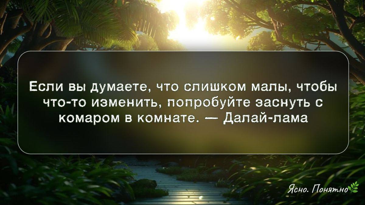 ☕ Кофе-пост: 5 цитат  которые изменят ваш взгляд на успех | Сетка — социальная сеть от hh.ru