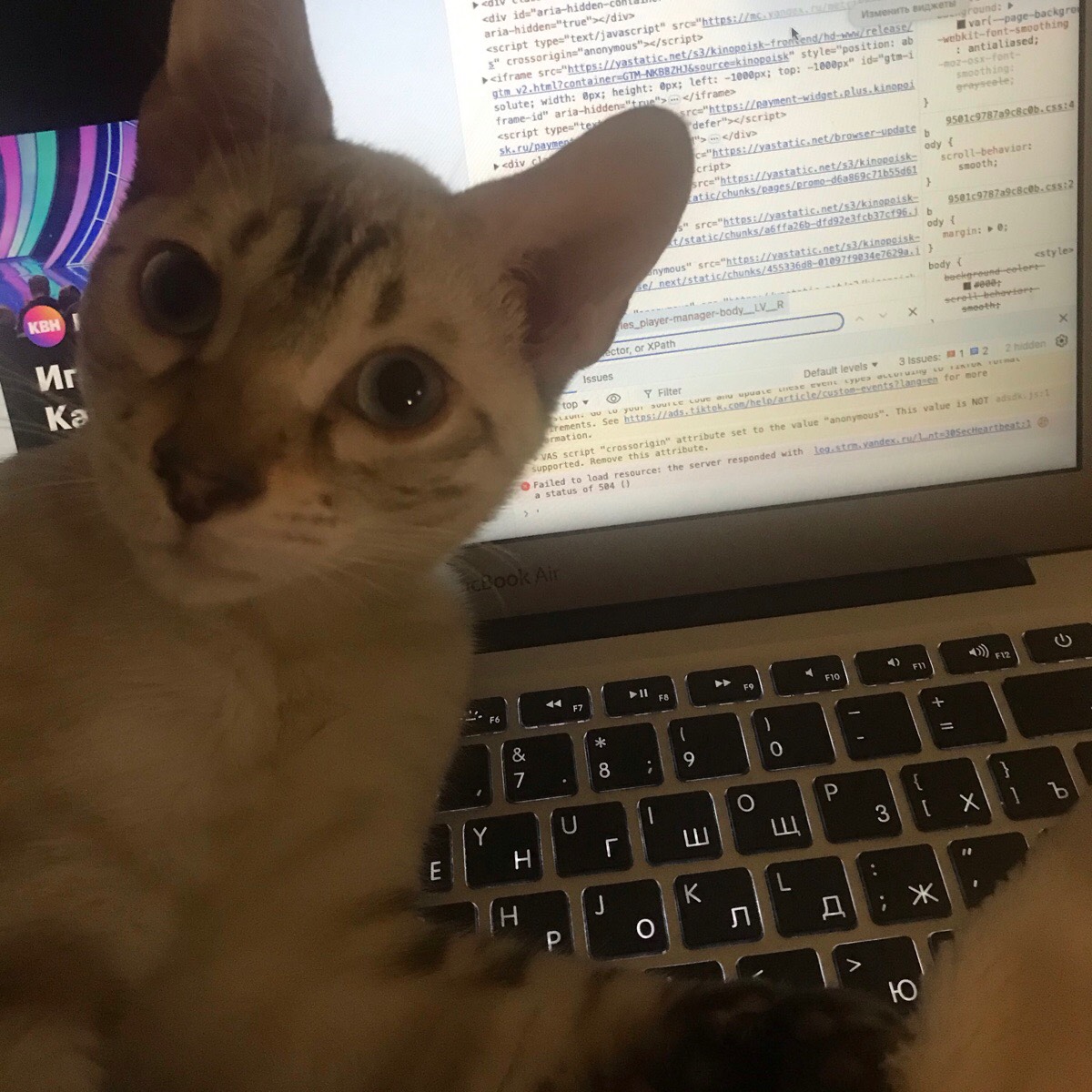 Анастасия Анастасия