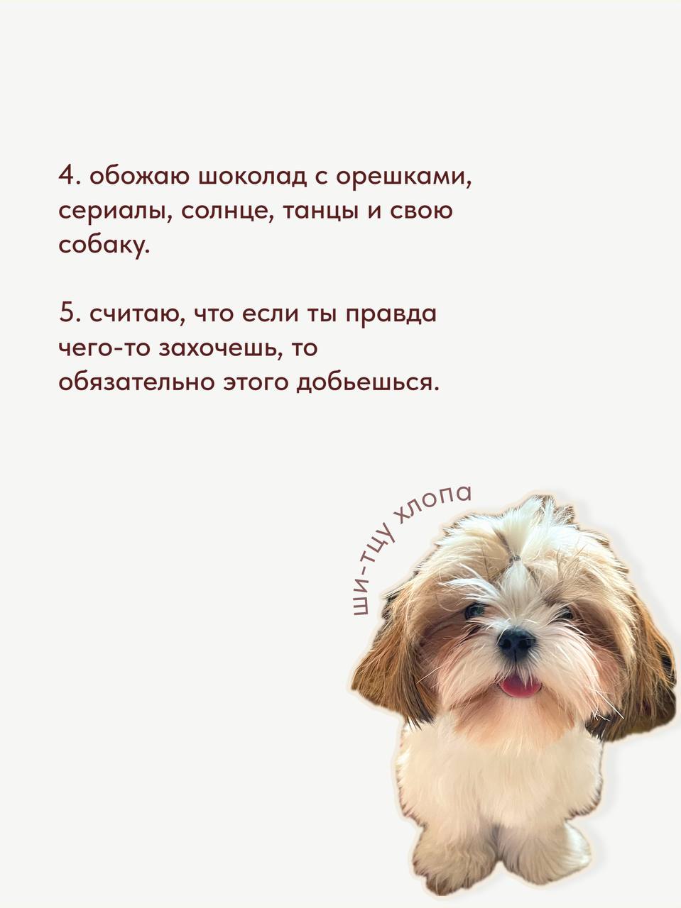 Привет, я Маша:)
• в карточках рассказала немного о себе, своем опыте и темах этого блога;
• а также поделилась большим и крутецкиим проектом, из-за которого отовсюду выпала
— в этом буду исправляться | Сетка — социальная сеть от hh.ru