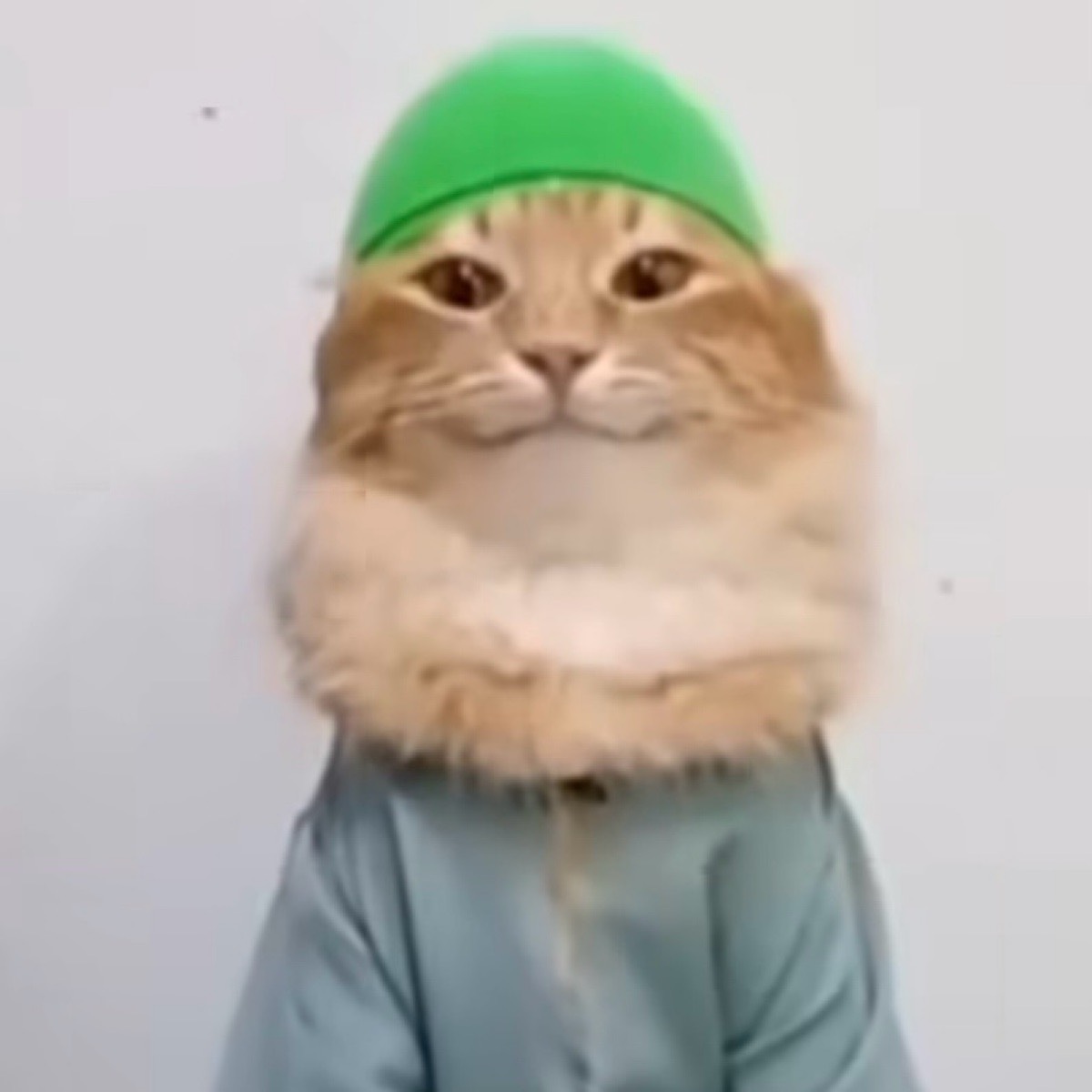 Мила Бека