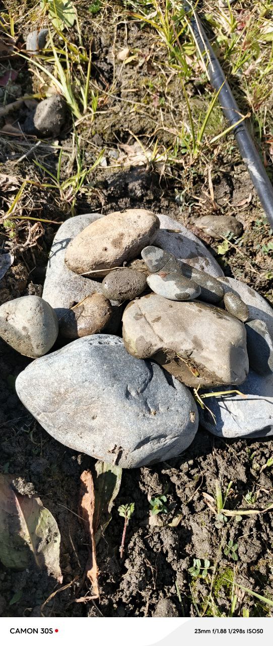 Ценность красоты и жизнь в настоящем 🏝
Вообще мертвая птица— это достаточно сильный знак | Сетка — социальная сеть от hh.ru