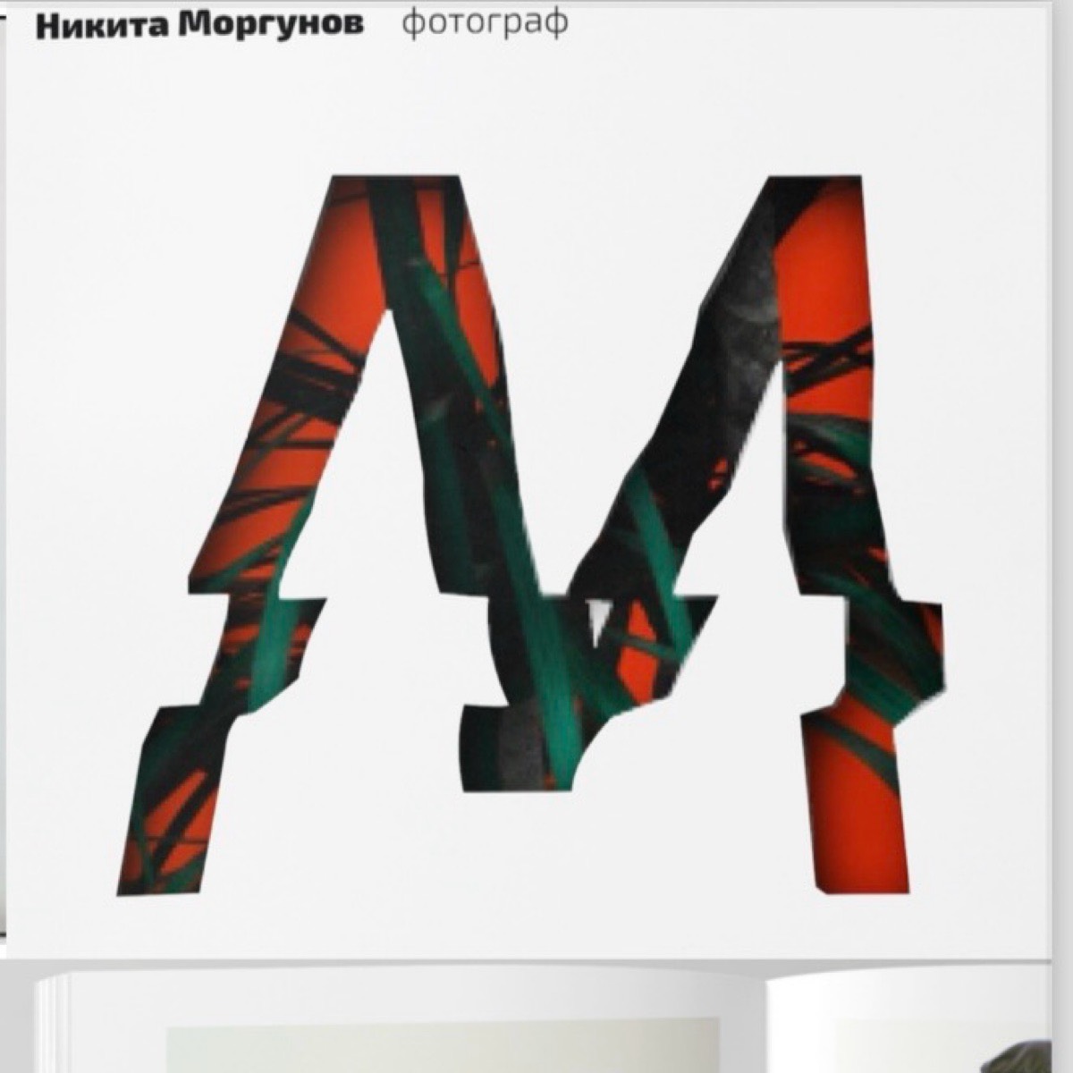 Никита Моргунов