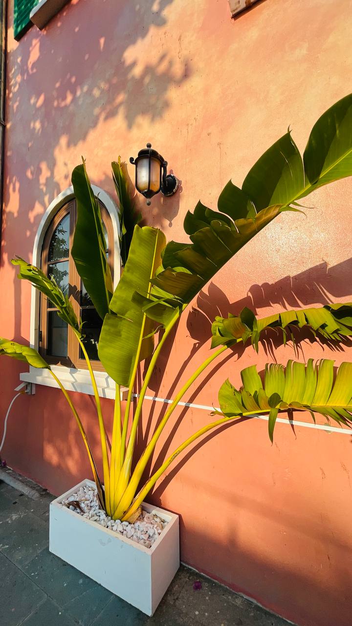 И чуть-чуть ещё, вдогонку. | Сетка — социальная сеть от hh.ru