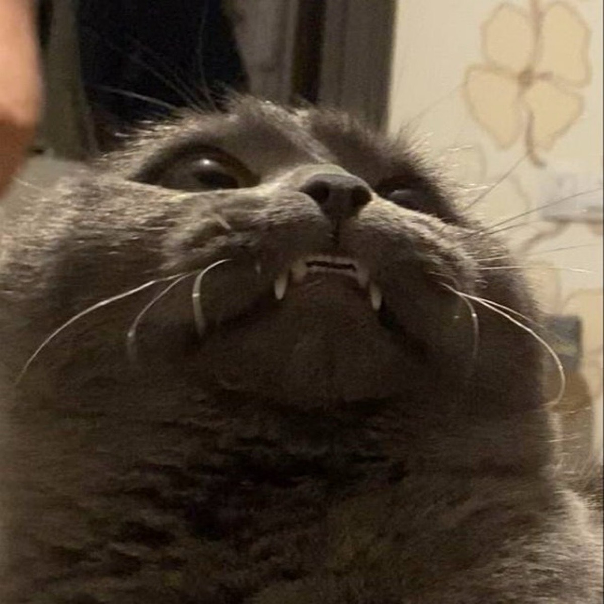 Владислав Мифтахов