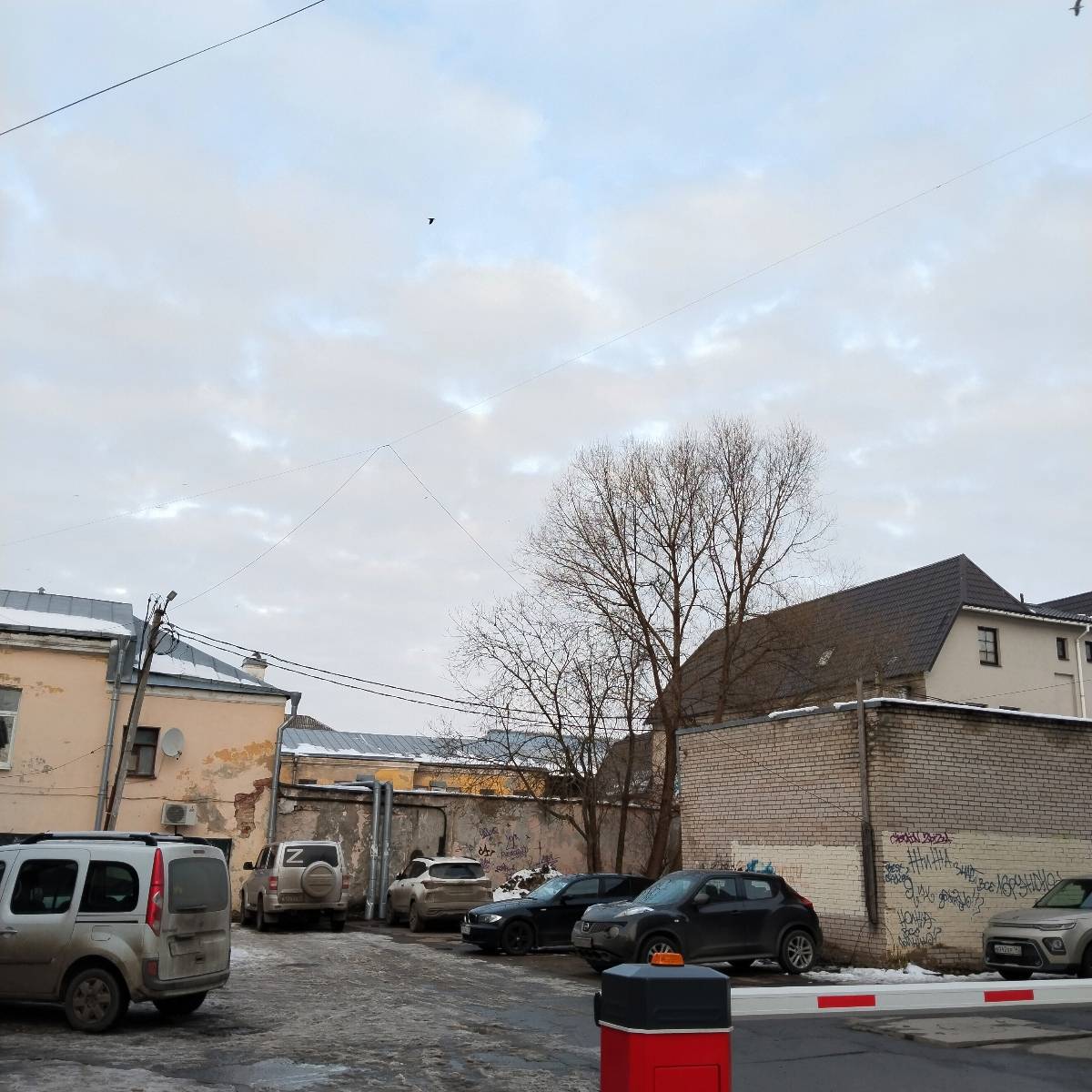 София Лушанова