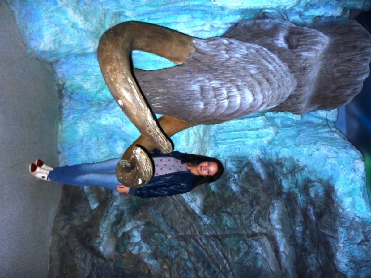 Елена Китаева | Сетка — социальная сеть от hh.ru