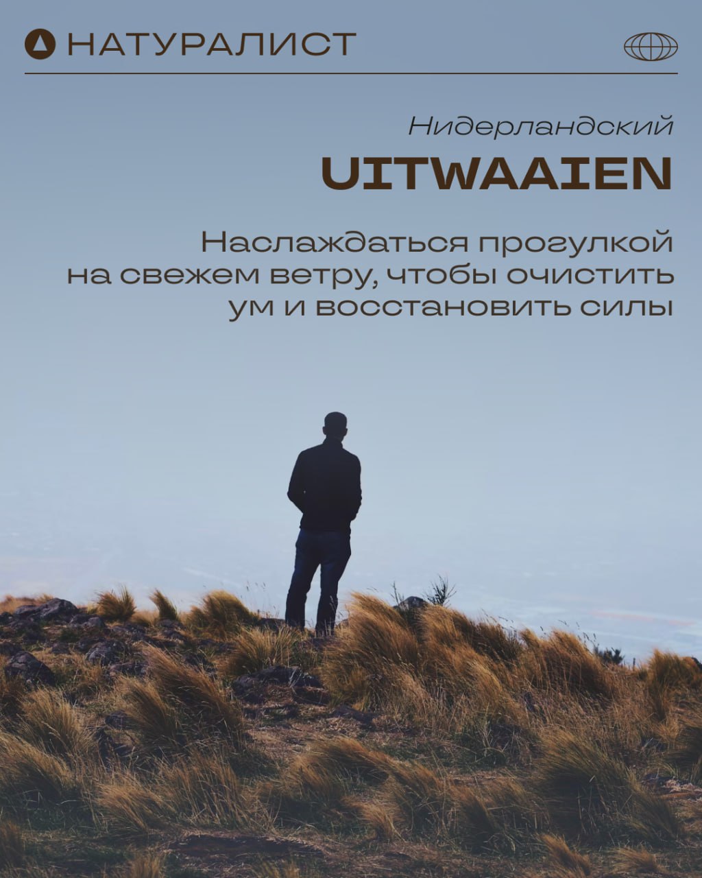 Природа творит чудеса, а мы знаем, как их описать 🌿
Эмоции, которые дарит природа, порой сложно выразить привычными словами | Сетка — социальная сеть от hh.ru