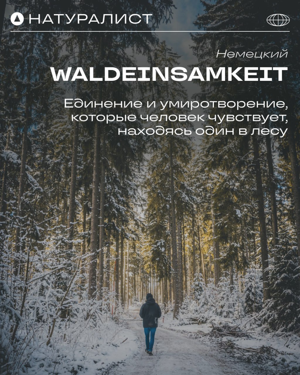Природа творит чудеса, а мы знаем, как их описать 🌿
Эмоции, которые дарит природа, порой сложно выразить привычными словами | Сетка — социальная сеть от hh.ru