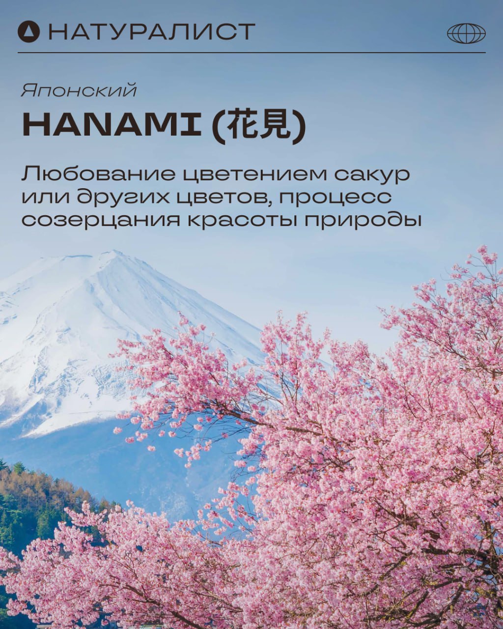 Природа творит чудеса, а мы знаем, как их описать 🌿
Эмоции, которые дарит природа, порой сложно выразить привычными словами | Сетка — социальная сеть от hh.ru