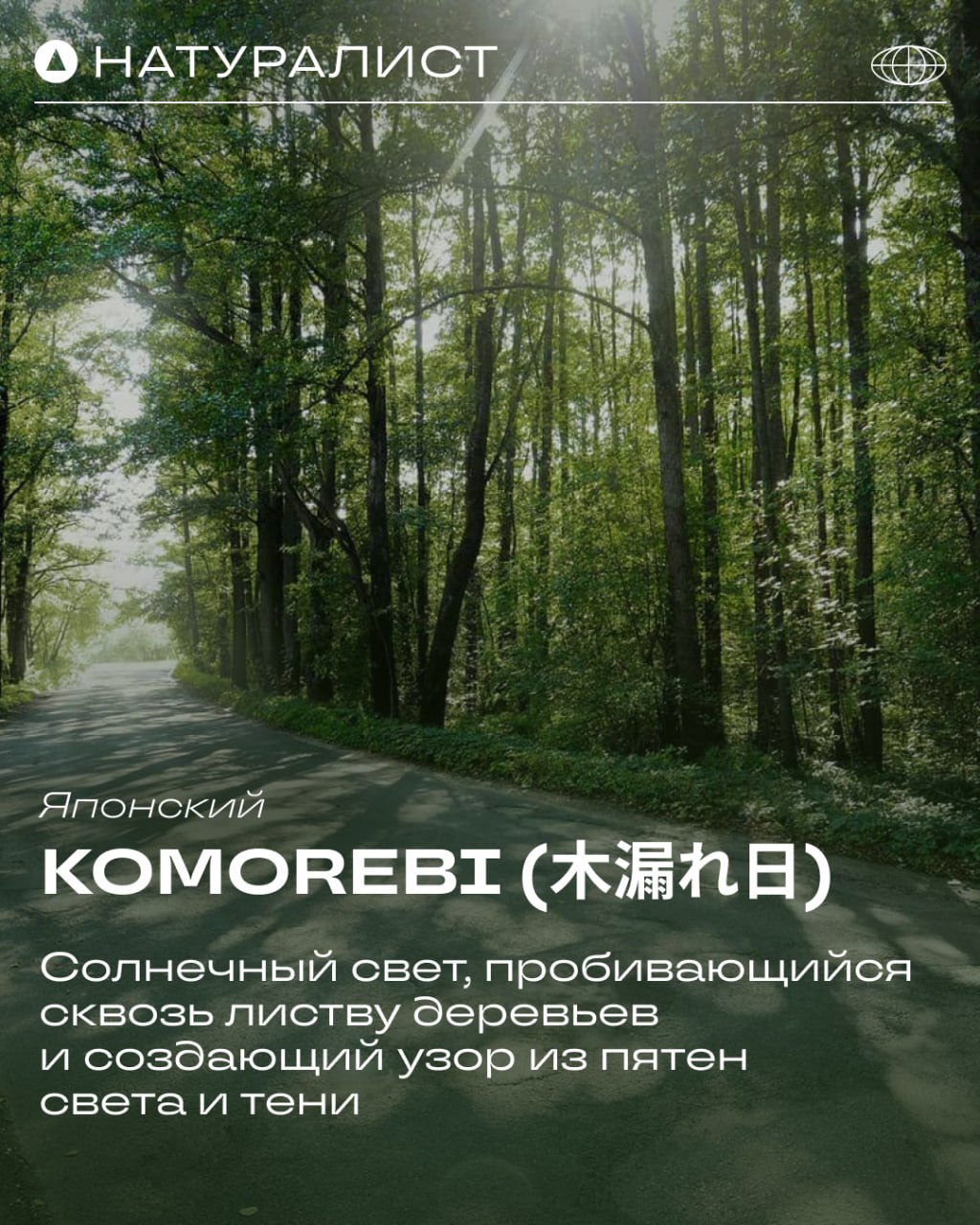 Природа творит чудеса, а мы знаем, как их описать 🌿
Эмоции, которые дарит природа, порой сложно выразить привычными словами | Сетка — социальная сеть от hh.ru