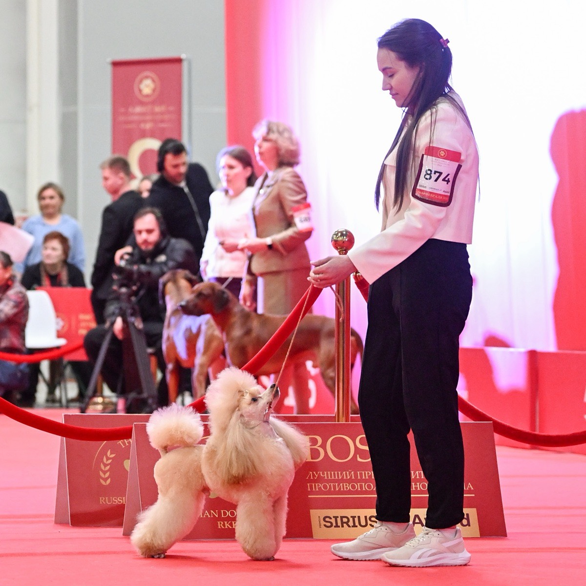 Network member avatar