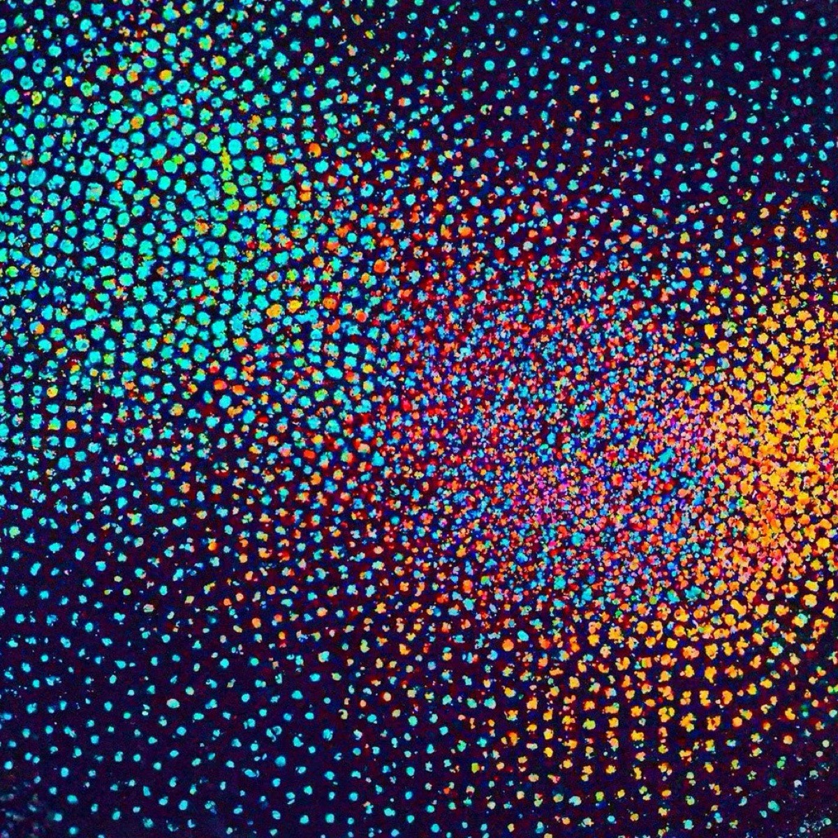 Николай Котов