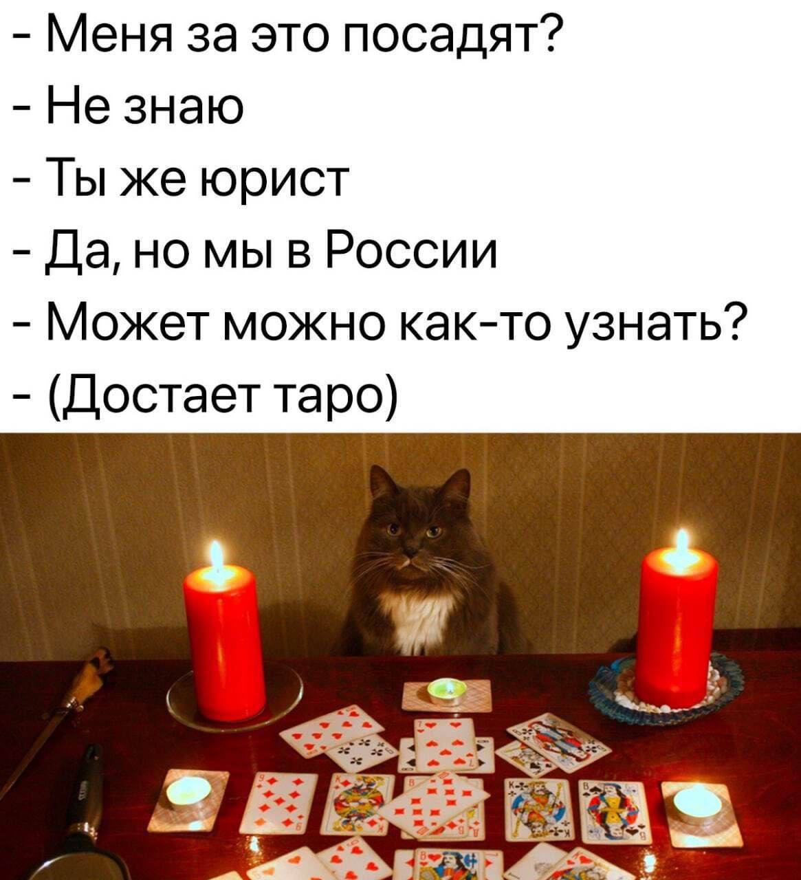 Новые реалии такие нынче | Сетка — социальная сеть от hh.ru