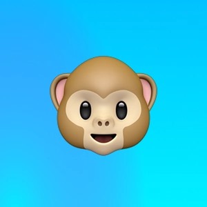 Александр Шумилов | Сетка — социальная сеть от hh.ru