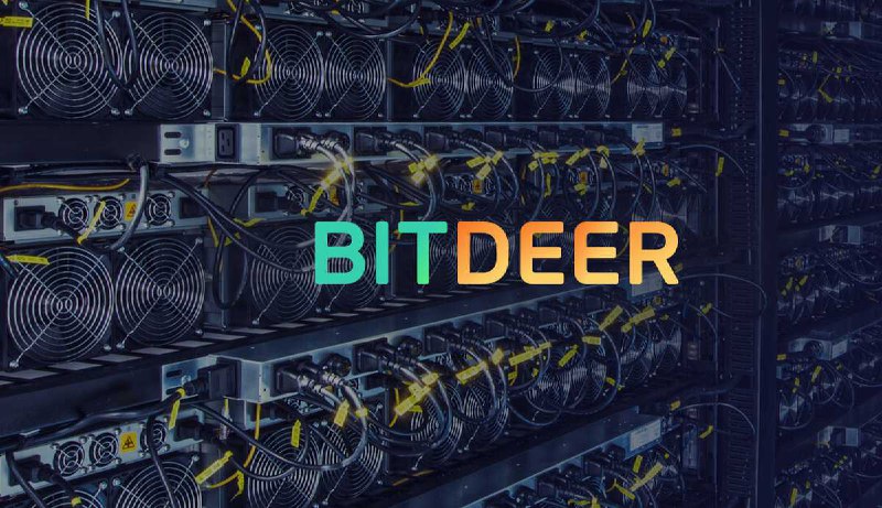 Майнер Bitdeer инвестировал $4 млн в подешевевший биткоин | Сетка — социальная сеть от hh.ru