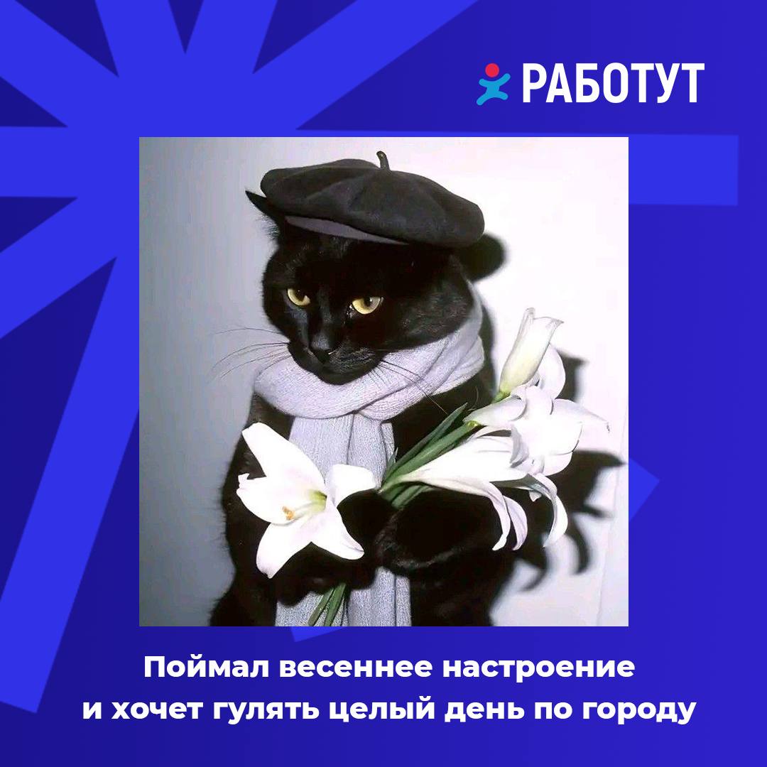 В преддверии весны определили три типа сотрудников 😄
Какое у вас сейчас настроение? | Сетка — социальная сеть от hh.ru