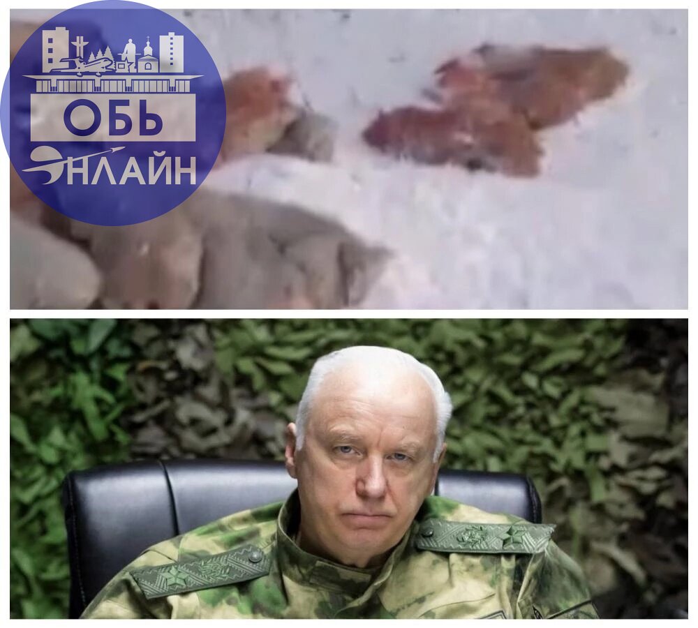 ↗ Мигранты убили скотину и разбросали останки по Алексеевке
Жители обнаружили могильник и обратились в правоохранительные органы. Бастрыкин поручил разобраться с нарушением охраны природы.
vk | Сетка — социальная сеть от hh.ru