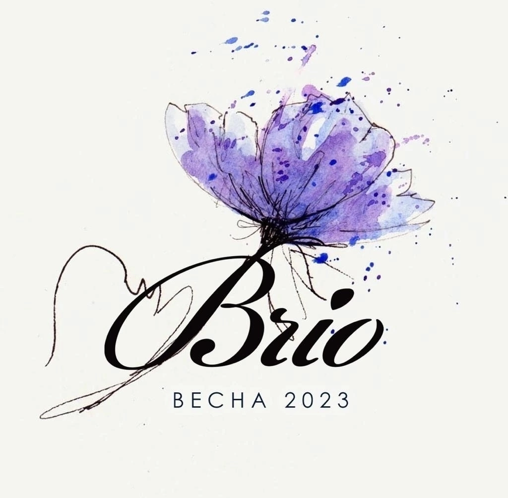 Магазин брендовой одежды BRIO – это единое пространство стиля и эффективного шопинга | Сетка — социальная сеть от hh.ru