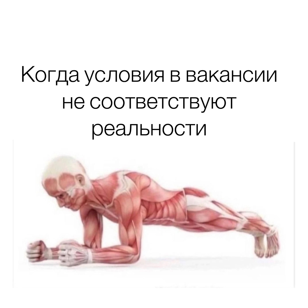 Субботний обмен мемами
P.s. Дорогие HR-ы, про кандидатов тоже будут мемы, но они в понедельник | Сетка — социальная сеть от hh.ru