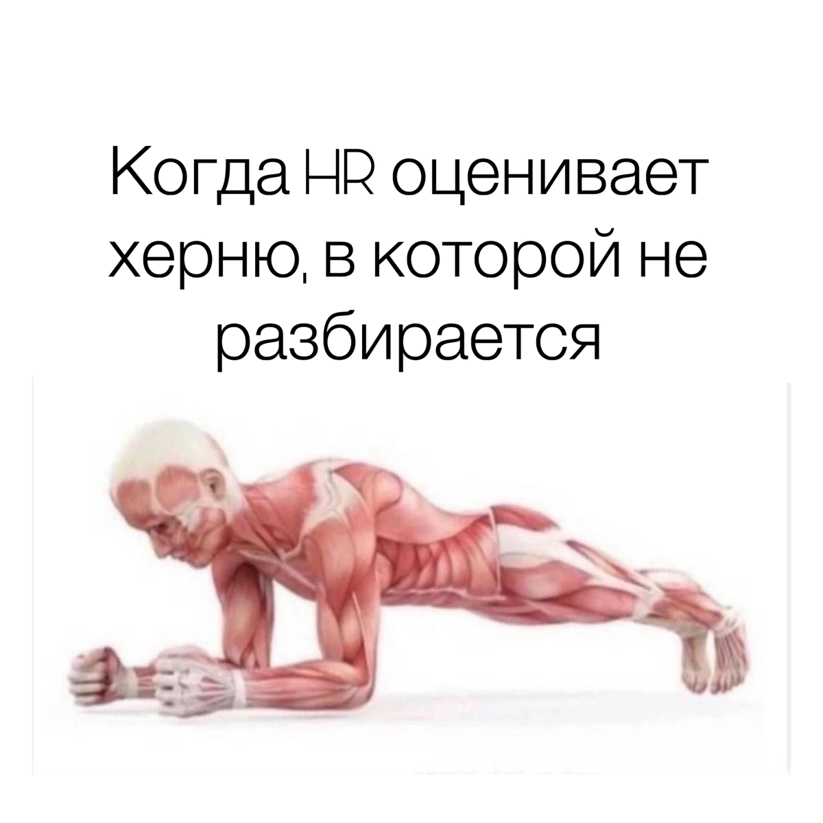Субботний обмен мемами
P.s. Дорогие HR-ы, про кандидатов тоже будут мемы, но они в понедельник | Сетка — социальная сеть от hh.ru