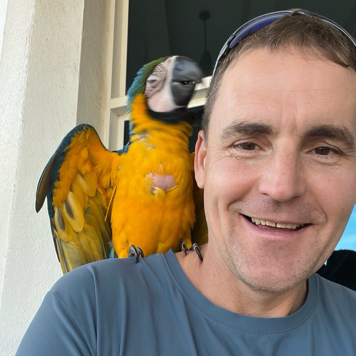 Юрий Козырев | Сетка — социальная сеть от hh.ru