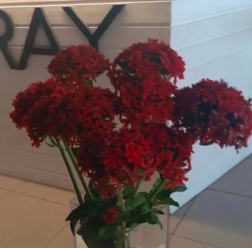 https://taplink.cc/grayvlz | Сетка — социальная сеть от hh.ru
