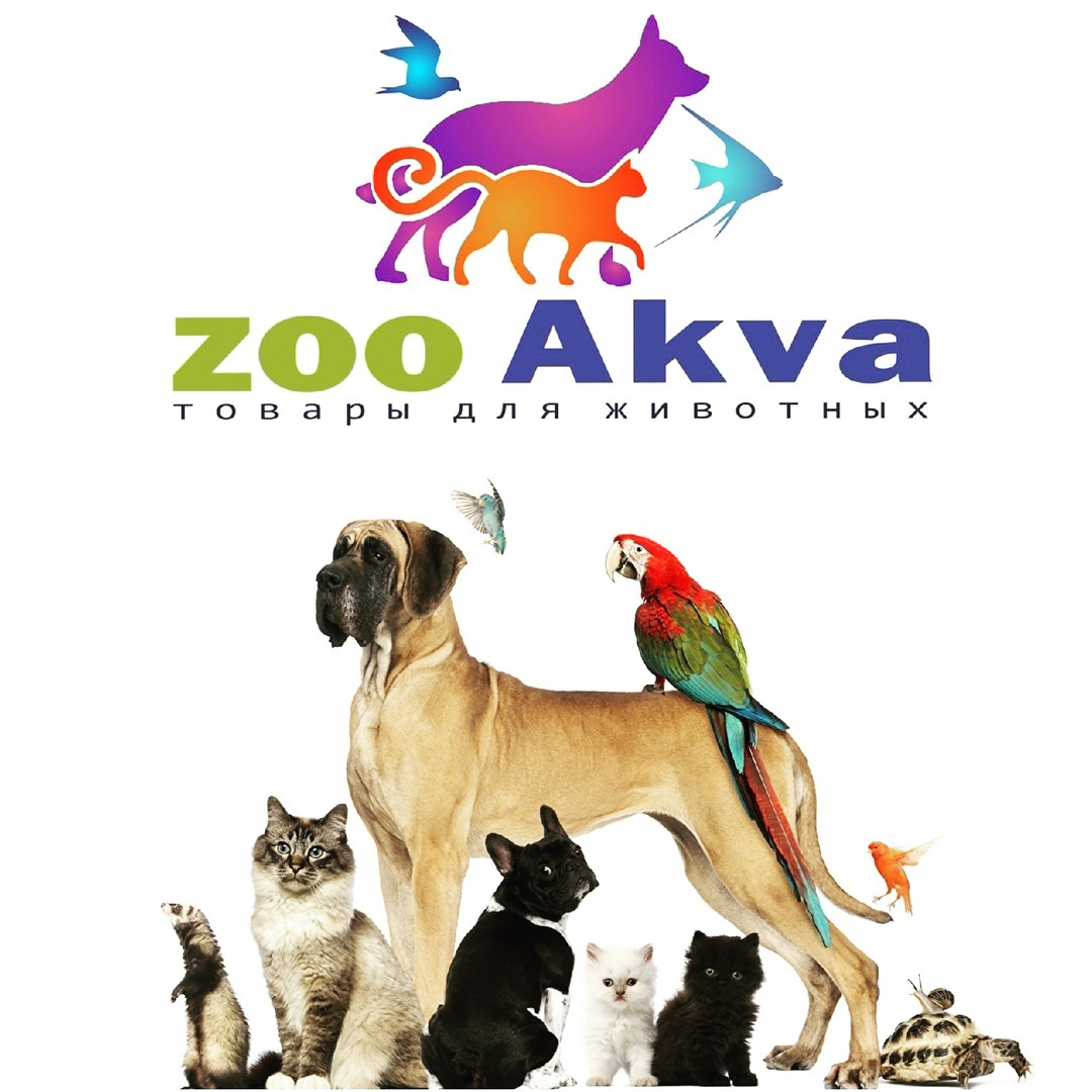 https://vk.com/zoomagazinvlz | Сетка — социальная сеть от hh.ru