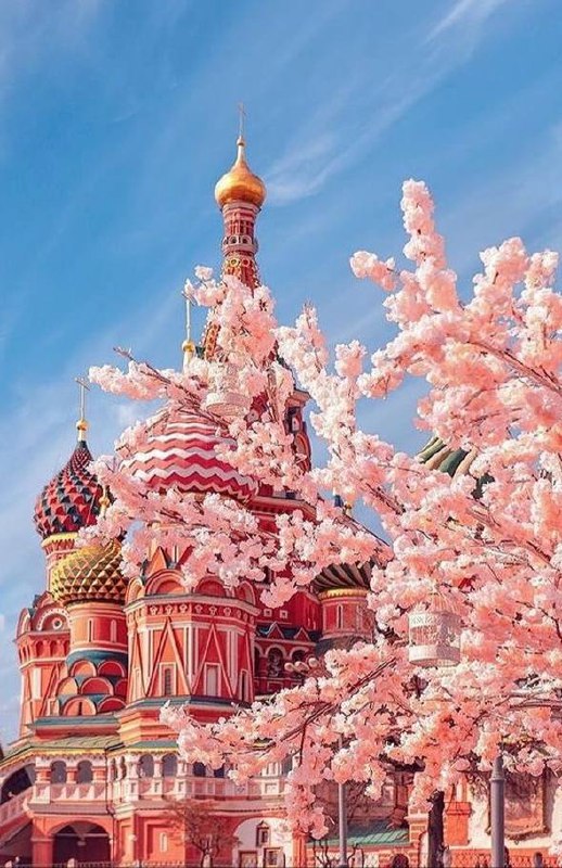 Поздравляем всех с первым днем весны!🌷
Морозы миновали, теперь днём в столице будет только плюсовая температура☀️
📲Подпишитесь на Вдвижении | Сетка — социальная сеть от hh.ru