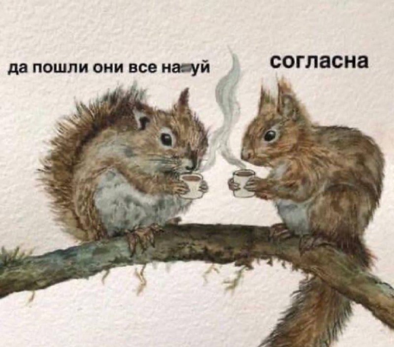 Мы | Сетка — социальная сеть от hh.ru