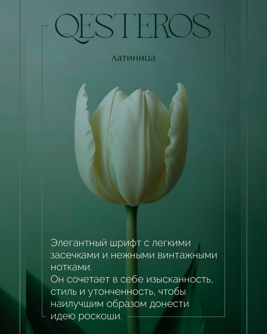 Шрифты, которые сделают ваш дизайн дорогим. Смотрим, сохраняем и переходим на сайт chubowa.ru) #design #graphicdesigner | Сетка — социальная сеть от hh.ru