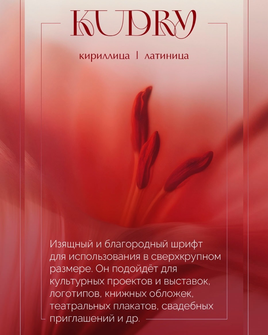 Шрифты, которые сделают ваш дизайн дорогим. Смотрим, сохраняем и переходим на сайт chubowa.ru) #design #graphicdesigner | Сетка — социальная сеть от hh.ru