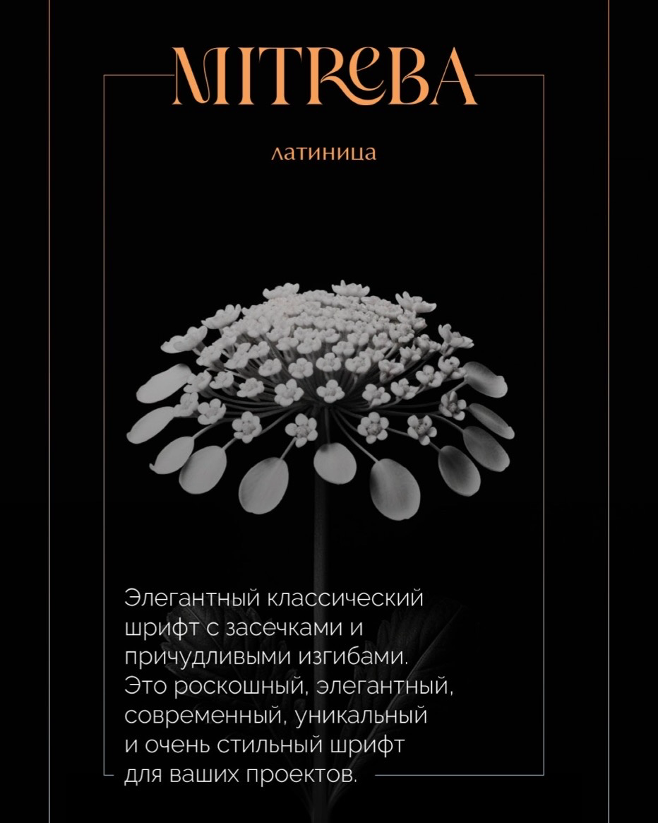 Шрифты, которые сделают ваш дизайн дорогим. Смотрим, сохраняем и переходим на сайт chubowa.ru) #design #graphicdesigner | Сетка — социальная сеть от hh.ru