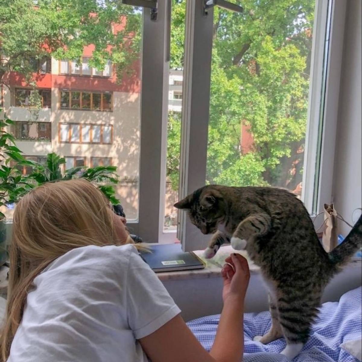 Network member avatar