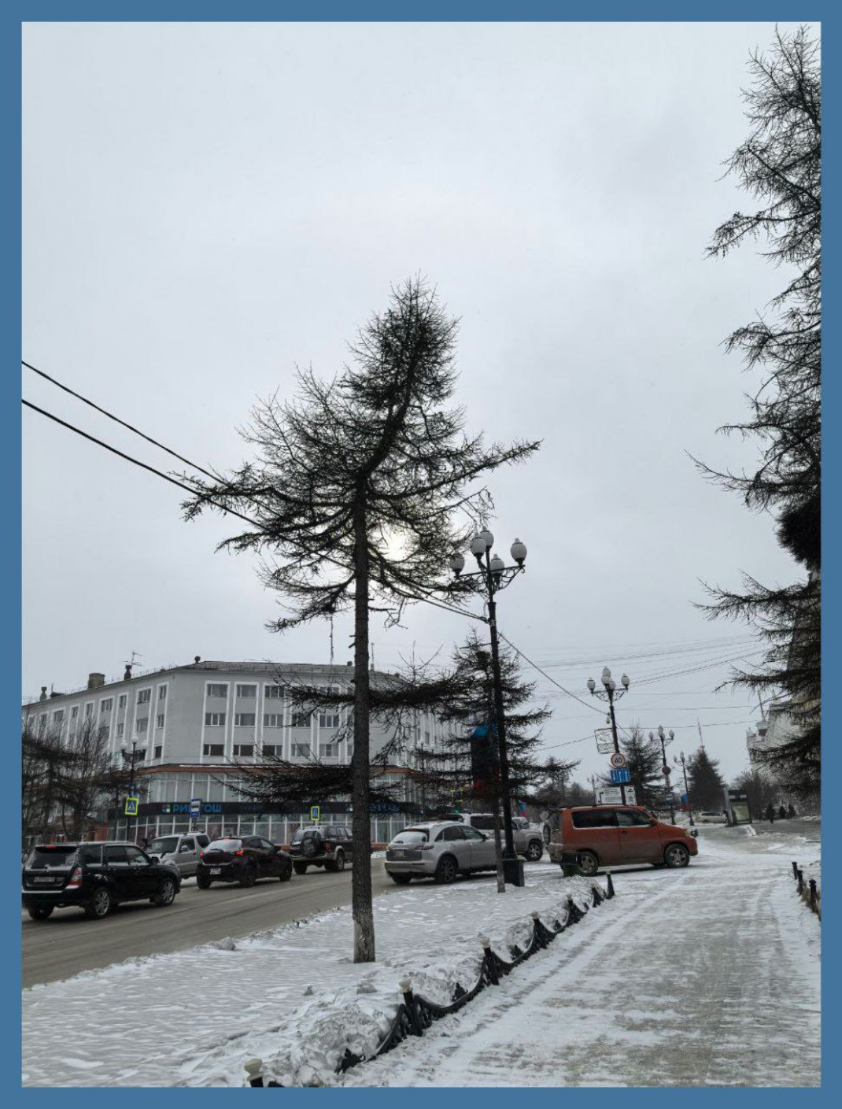 Когда был снежок / When it was the snow | Сетка — социальная сеть от hh.ru