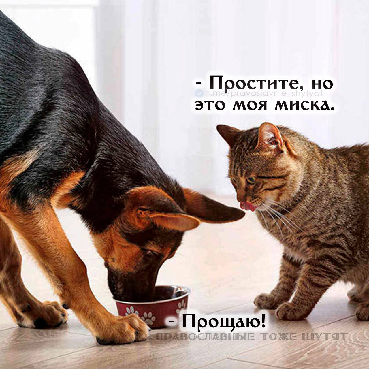 Сегодня хочу поделиться мыслями о прощении. Все ли можно прощать? Все ли нужно прощать?
Наверное, самое неоднозначное.. кстати - что? Понятие? Действие? Я бы назвала это Решением. Это выбор человека | Сетка — социальная сеть от hh.ru