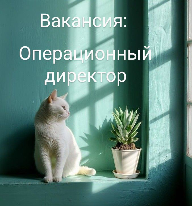 #ВАКАНСИЯ: #Операционный Директор
КОМПАНИЯ: для FinTech PSP Платежный Агрегатор MoonExpert — это платежная система с надежной инфраструктурой онлайн-банкинга, подходящей для большинства онлайн-бизнеса | Сетка — социальная сеть от hh.ru