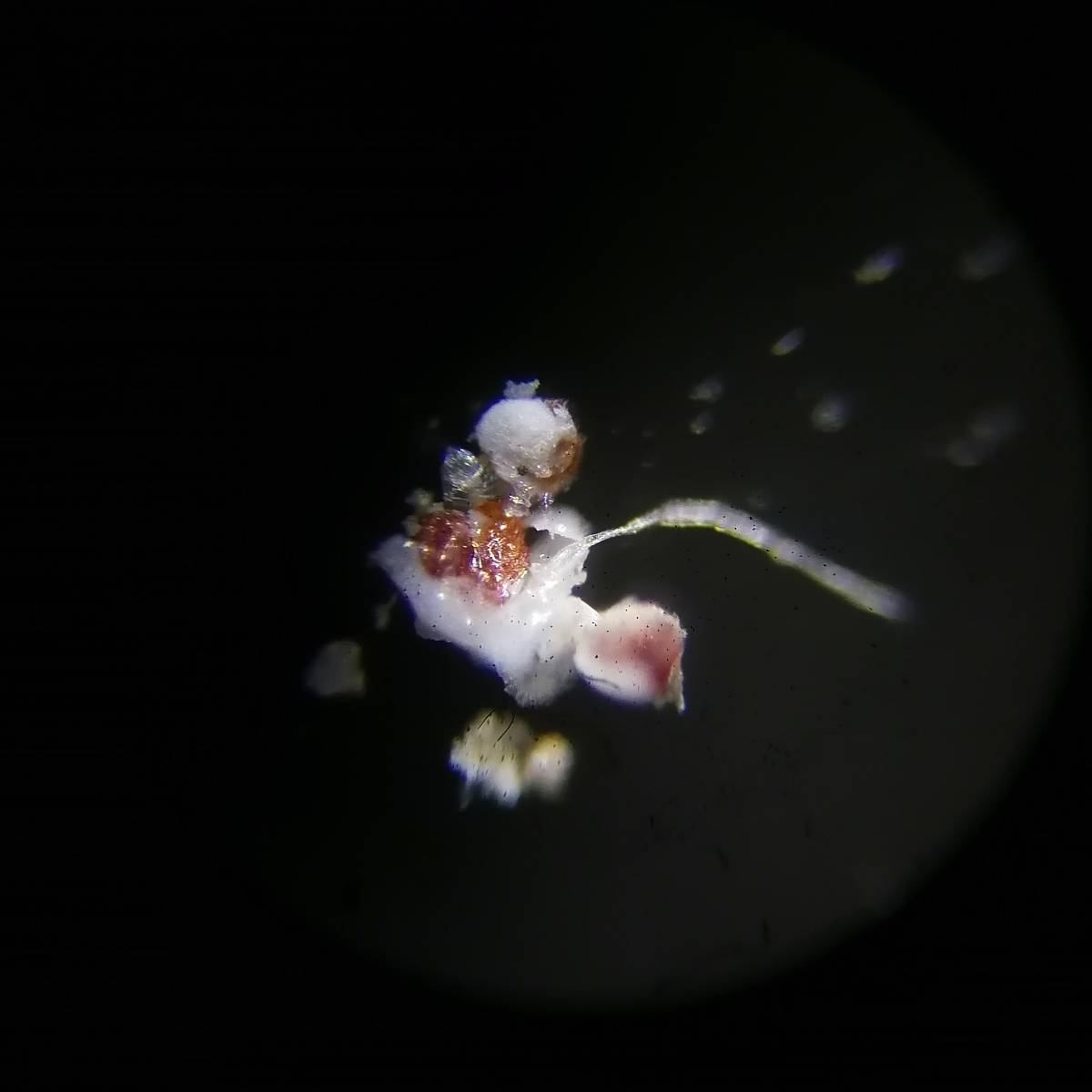 Вячеслав Васильев | Сетка — социальная сеть от hh.ru