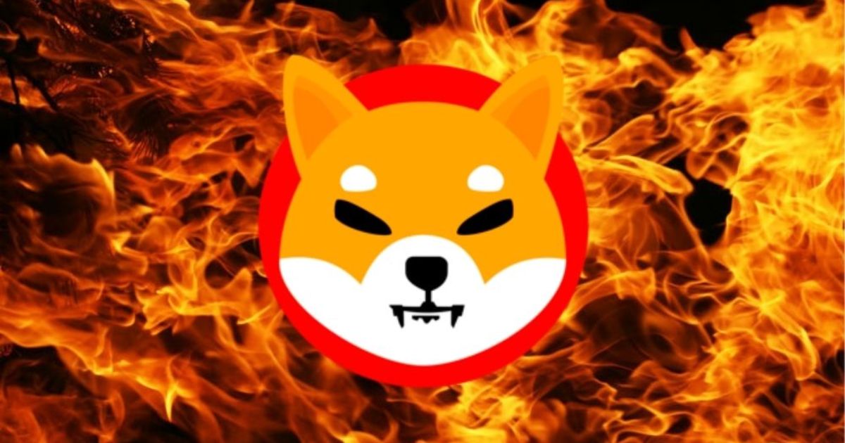 Разработчики Shiba Inu изобрели новый способ сжигания криптовалюты | Сетка — социальная сеть от hh.ru