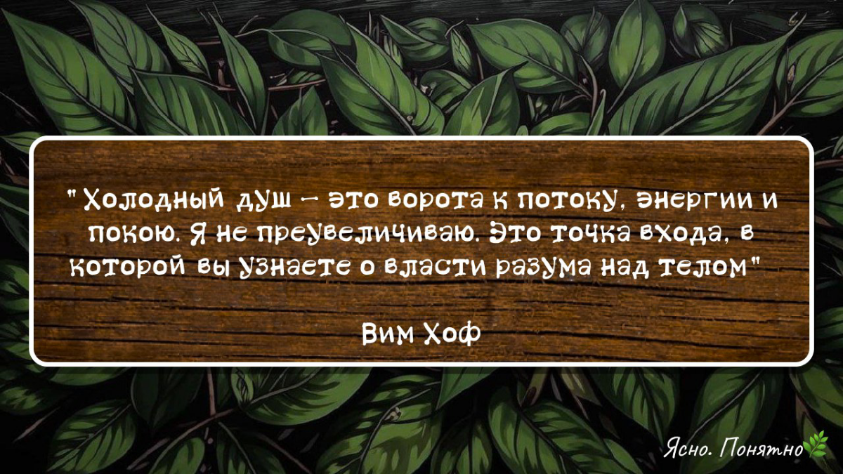 Почему холодный душ — это секрет супергероев?🦸 | Сетка — социальная сеть от hh.ru