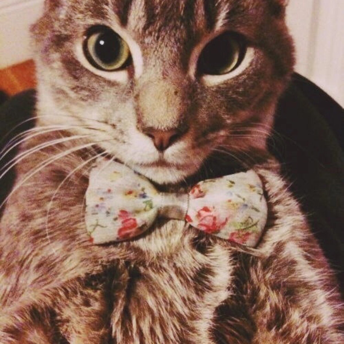 Дмитрий Мартынов