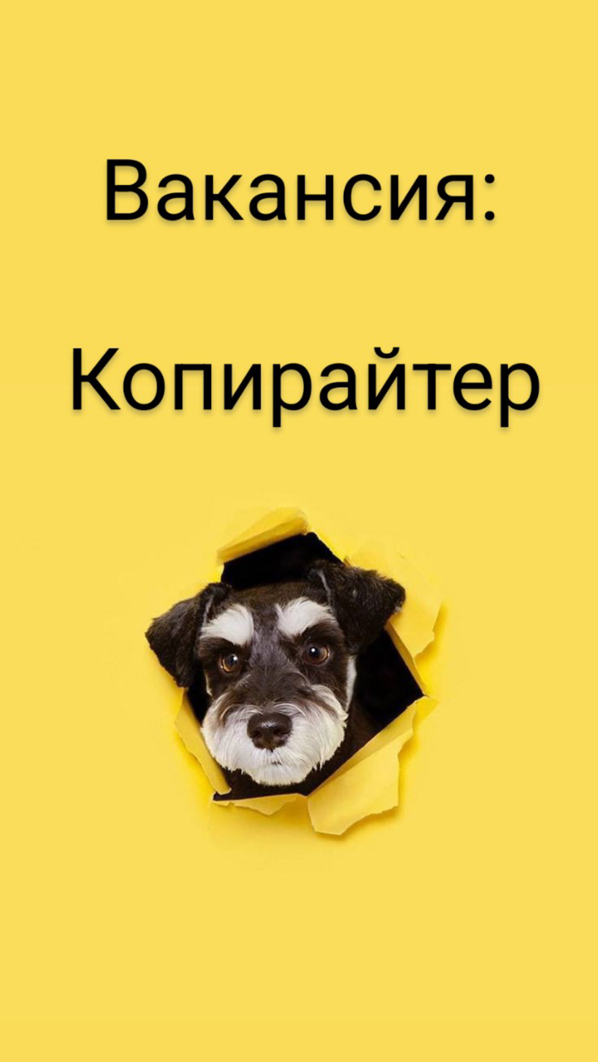 #вакансия #Копирайтер в IT компанию
Ищем копирайтера, который умеет не просто писать тексты, а создавать увлекательные истории, привлекающие аудиторию | Сетка — социальная сеть от hh.ru