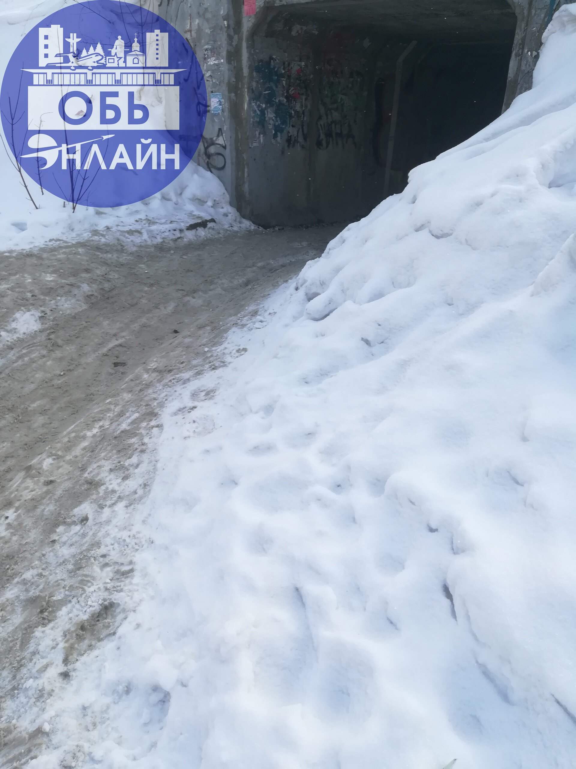 ↗ Администрация города Оби и Ваше доблестное "Городское хозяйство" пожалуйста приведите в порядок этот участок пешеходной дороги | Сетка — социальная сеть от hh.ru