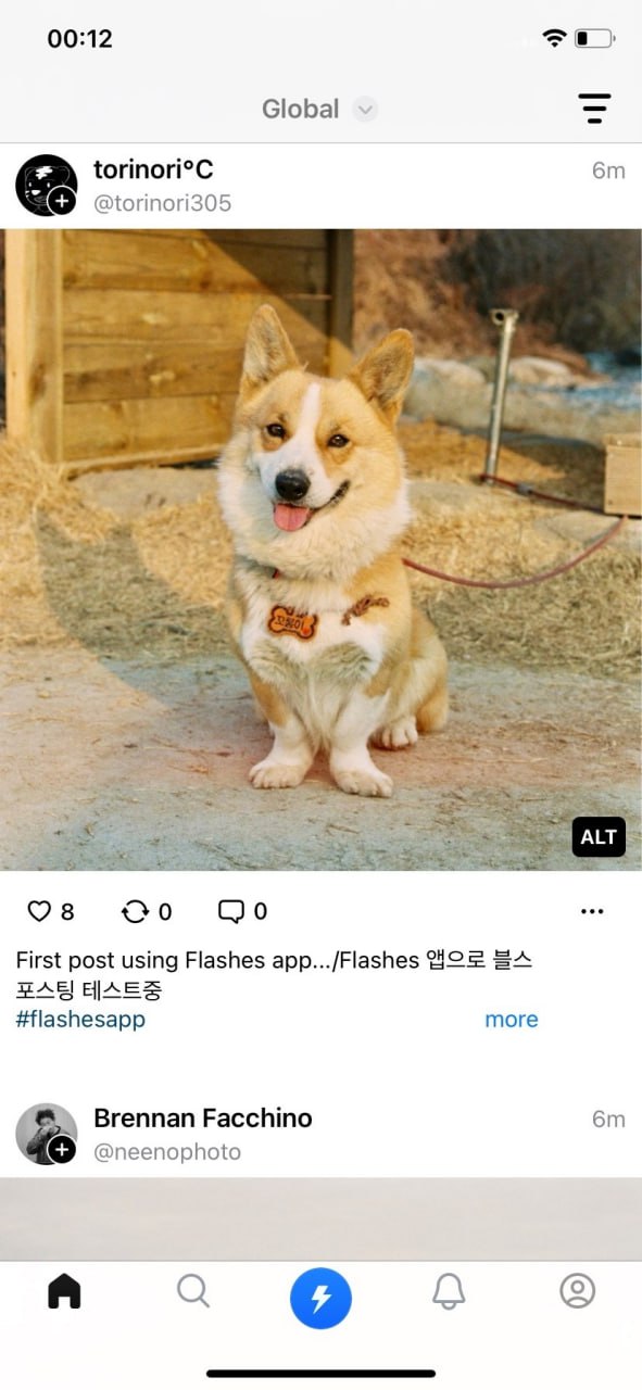 Новый конкурент инстаграма - Flashes
Во времена, когда соцсетей больше, чем нам хотелось бы, и казалось бы, ничем уже не удивить, немецкий разработчик публикует свое приложение в AppStore и получает 3... | Сетка — социальная сеть от hh.ru