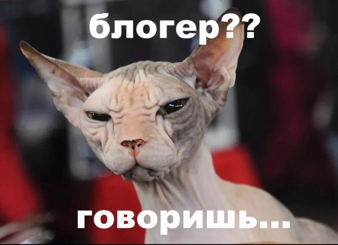 Врываемся в первый весенний понедельник с дайджестом за Февраль ❄️
К нам присоединялось много новеньких (всем привет👋) , поэтому напомню, что у нас есть Навигация по заметкам
События
🏆 Главная новость... | Сетка — социальная сеть от hh.ru